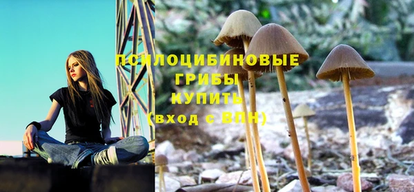 крисы Верхний Тагил